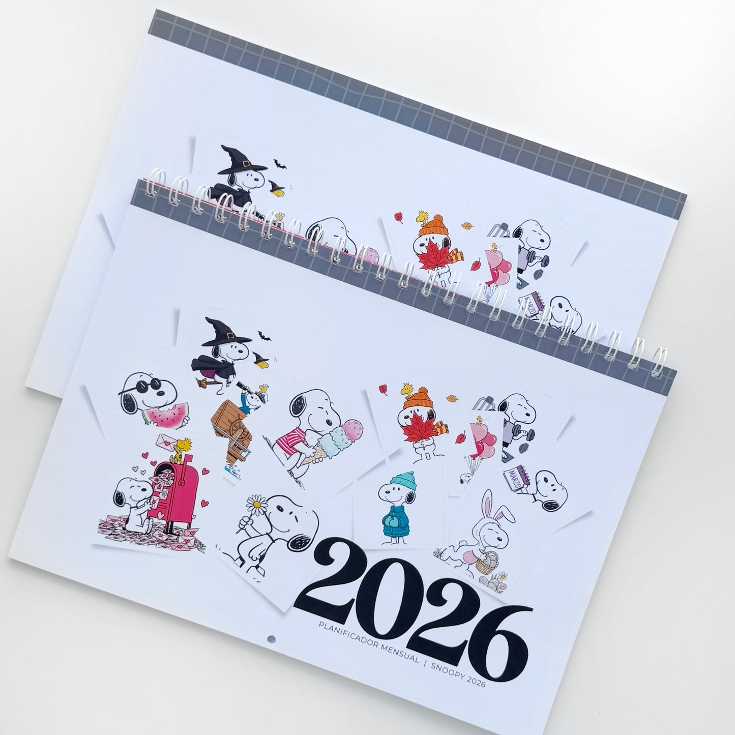 Planner Snoopy 2026